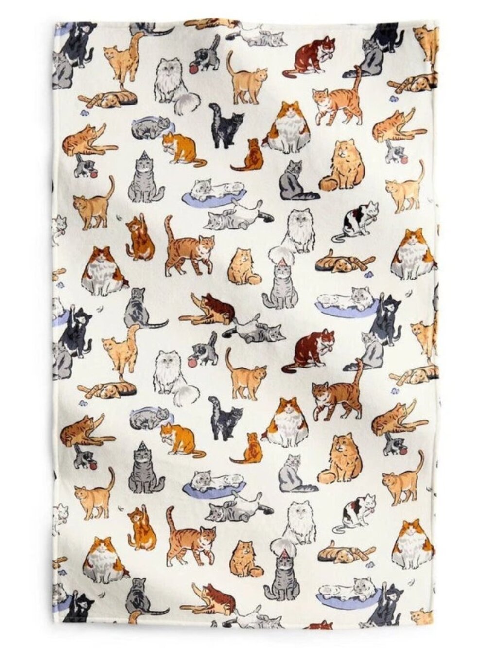 Vera Bradley Essential Throw Blanket 50" x 80" A Cat’s Life Cream 50668-23263